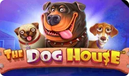 Bankonbet – The Dog House